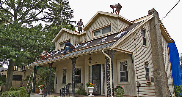 Best New Roof Installation  in Zanesville, OH